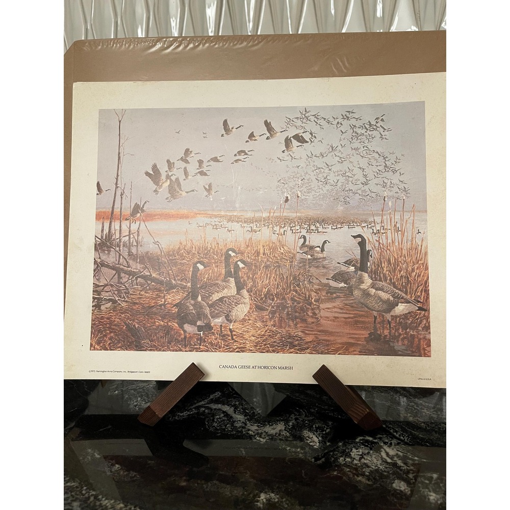 Remington Print Canada Geese at Horicon Marsh - 1973 Remington Arms Company Inc.